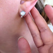 Load image into Gallery viewer, Dainty Clam & Starfish Earrings