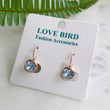 Load image into Gallery viewer, Rose Gold Light Blue Earrings
