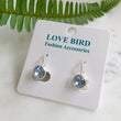 Load image into Gallery viewer, Light Blue Crystal Earrings