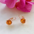 Load image into Gallery viewer, Rose Gold Orange Earrings