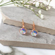 Load image into Gallery viewer, Crystal Earrings - Rainbow/RG