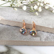 Load image into Gallery viewer, Crystal Earrings - Multi/Rose Gold