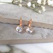 Load image into Gallery viewer, Clear Crystal Earrings, Rose Gold Earrings, Drop Dangle Earrings, Wedding Earrings, Leverback Earrings, Small Earrings, Bridesmaid Earrings