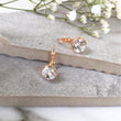 Load image into Gallery viewer, Clear Crystal Earrings, Rose Gold Earrings, Drop Dangle Earrings, Wedding Earrings, Leverback Earrings, Small Earrings, Bridesmaid Earrings