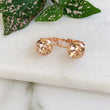 Load image into Gallery viewer, Crystal Earrings - Peach/RG