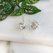 Load image into Gallery viewer, Clear Crystal Silver Earrings