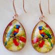 Load image into Gallery viewer, Rainbow Lorikeet Earrings
