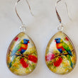 Load image into Gallery viewer, Rainbow Lorikeet Earrings
