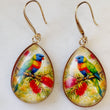 Load image into Gallery viewer, Rainbow Lorikeet Earrings
