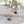 Load image into Gallery viewer, Crystal Earrings - Blue Effect/RG

