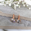 Load image into Gallery viewer, Crystal Earrings - Rose Gold/Grey
