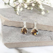 Load image into Gallery viewer, Crystal Earrings - Silver/Topaz
