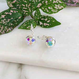 Crystal Earrings - Silver/Rainbow